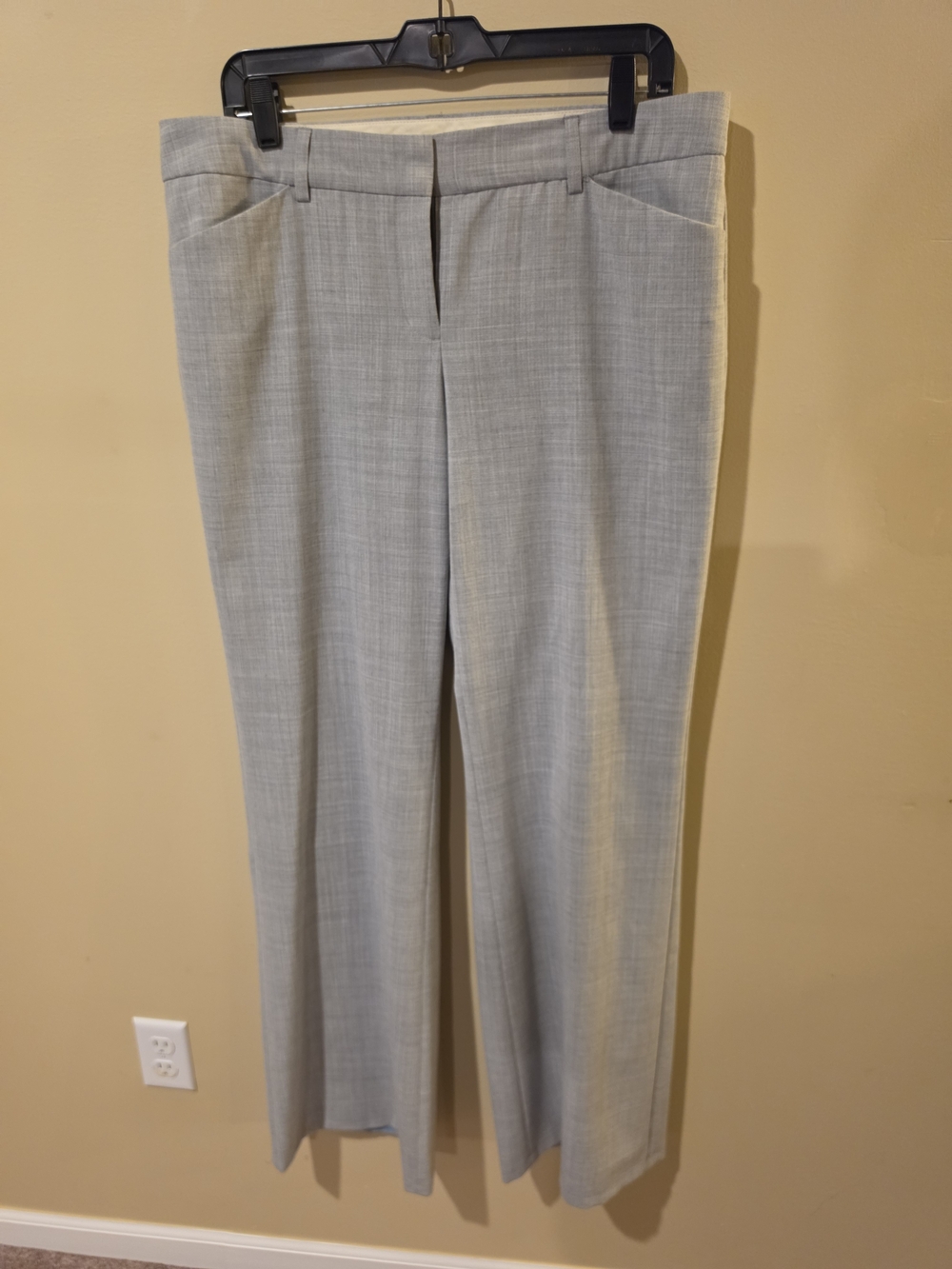 Express Light Gray Women's Editor Pants